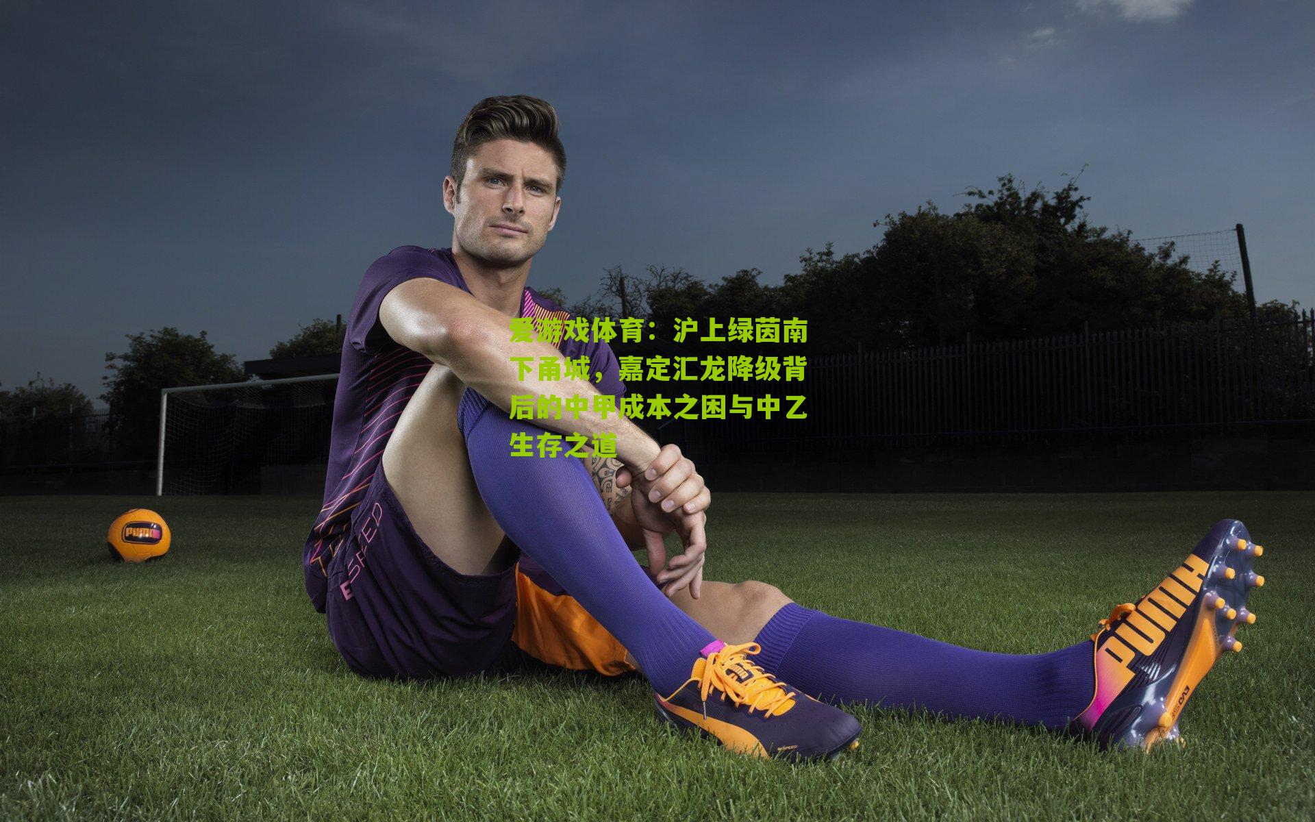 爱游戏体育：沪上绿茵南下甬城，嘉定汇龙降级背后的中甲成本之困与中乙生存之道