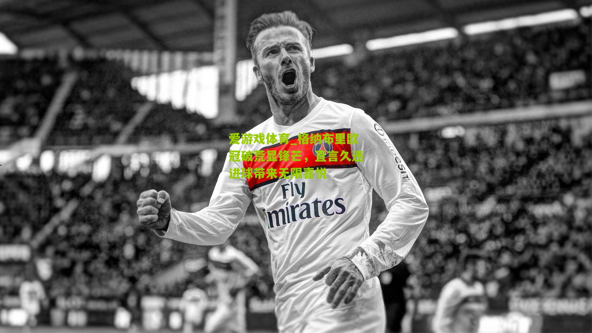 爱游戏体育_格纳布里欧冠破荒显锋芒，直言久违进球带来无限喜悦