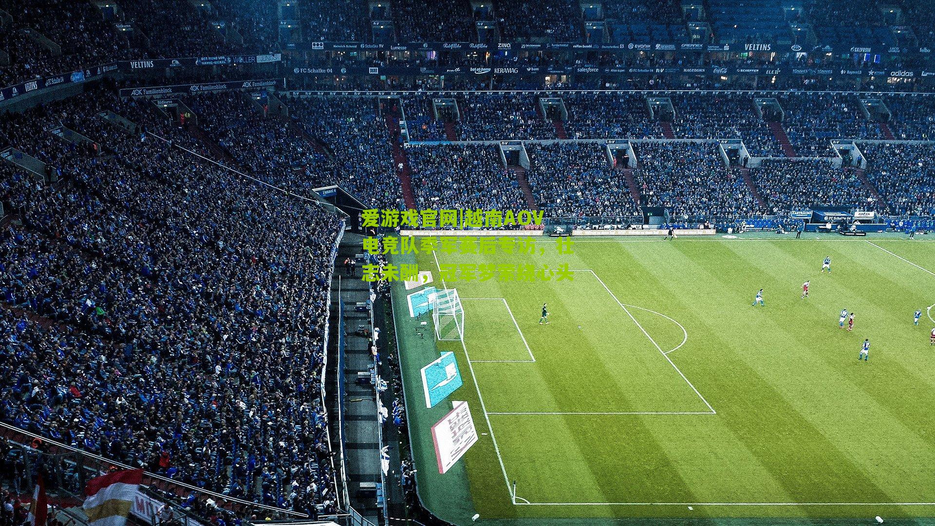 爱游戏官网|越南AOV电竞队季军赛后专访，壮志未酬，冠军梦萦绕心头